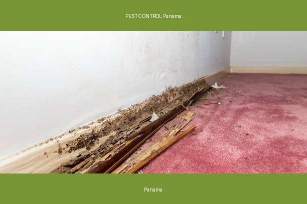 PEST CONTROL Panama